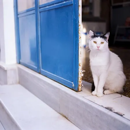 Apartment Charming Naxos With Seperate Bedroom Modern Furnishing Close To The Saint George *